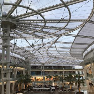 رقائق ETFE
