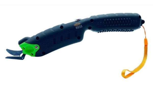 RS1S - Image 2